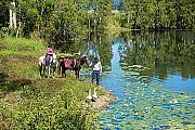 Horse Riding + ATV Combo Tour